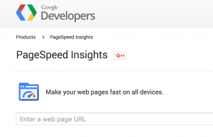 Website page speed grader