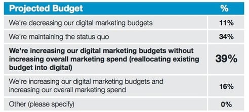 REPORT - digital marketing budgets for 2013