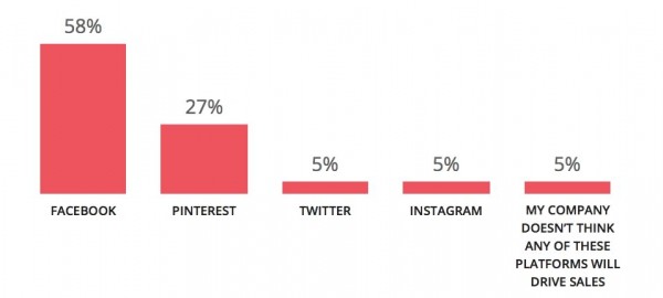 Which social media marketing platform does your company think has the most potential to drive sales?