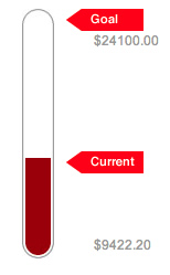 thermometer for online donations