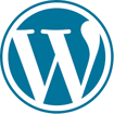 WordPress Website Statistics 