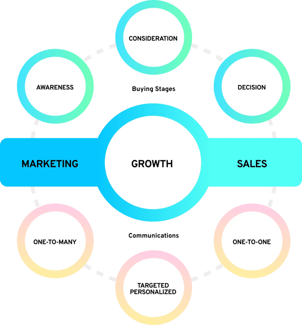 Marketing and Sales Growth Strategy for IT Sales Lead Generation